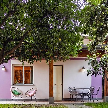 Villa Giardino Carya - Giarre Centro Esterno foto