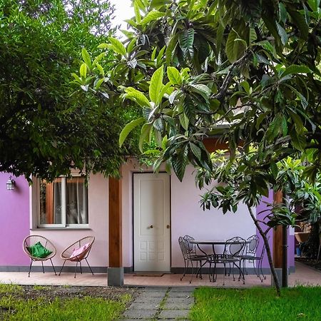 Villa Giardino Carya - Giarre Centro Esterno foto